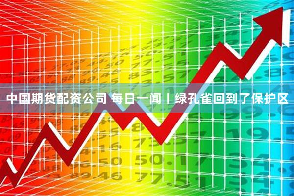 中国期货配资公司 每日一闻丨绿孔雀回到了保护区