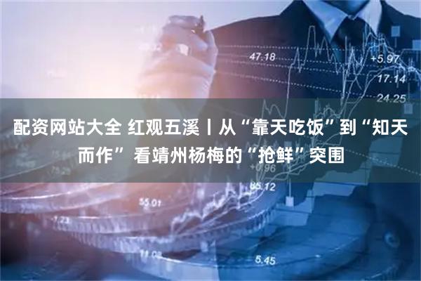配资网站大全 红观五溪丨从“靠天吃饭”到“知天而作” 看靖州杨梅的“抢鲜”突围